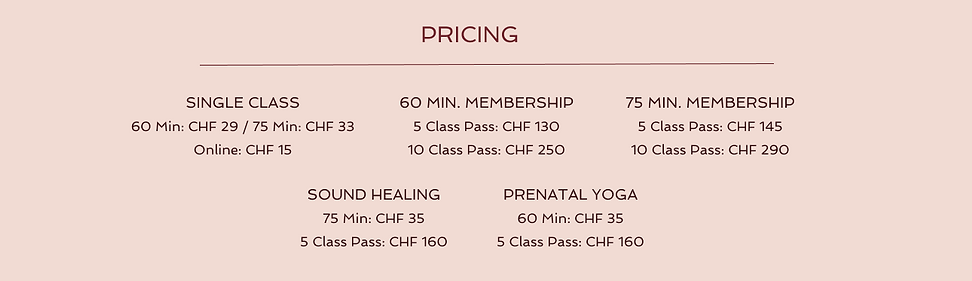Pricing (1).png
