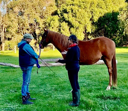 Screenshot 2026-02-03 at 11.50.54 AM.jpeg