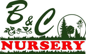 B&C Nursery.jpeg