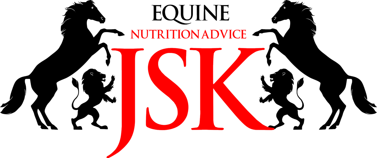 LOGO JSK FINALČERNÁ A ČERVENÁ.png