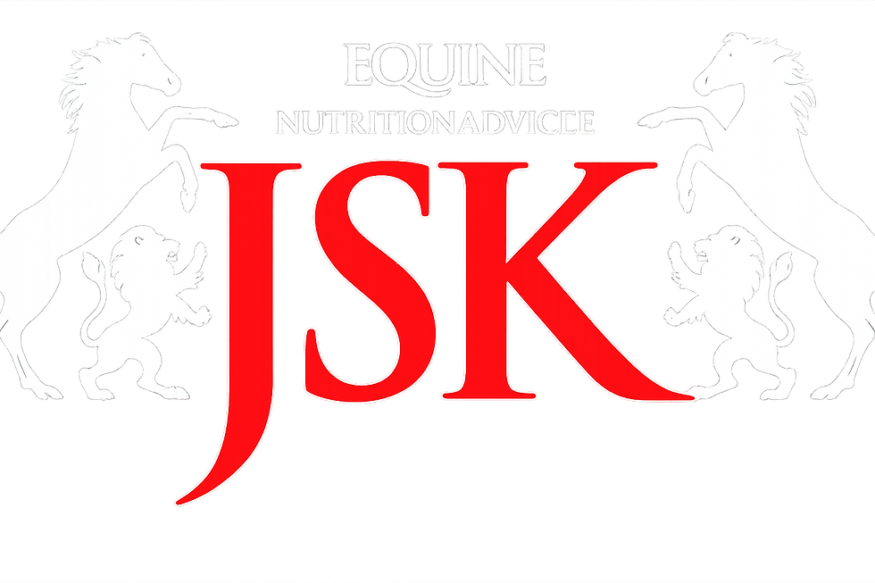 jsk LOGO whitered.png