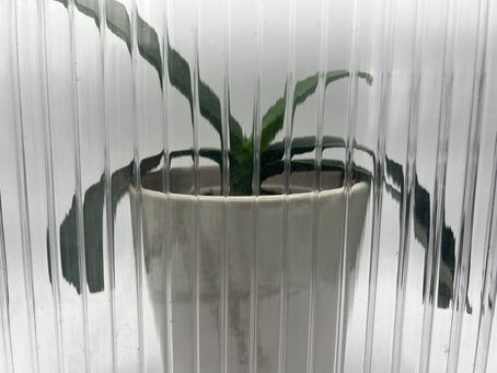 Clear Sheets for Maximum Light—Even on Cloudy Washington Days
