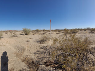 Sleepy Mesquite - April 2025: Heat, Hard Lessons, and Hidden Threats