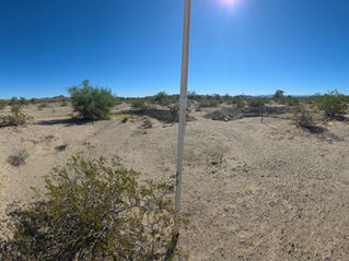 Sleepy Mesquite update 11/5/2025