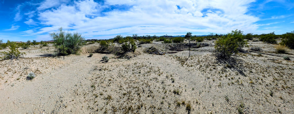 Sleepy Mesquite update 2/28/2026