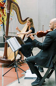 harp & violin duo
