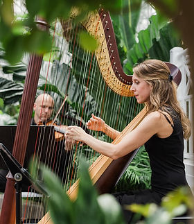 harp and violin - Clay.jpg