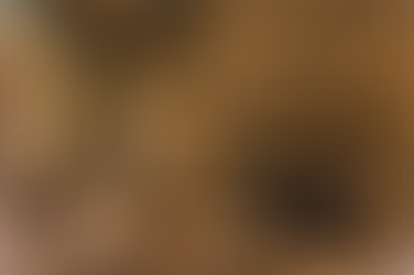 Wall Coverings by Selrite Interiors