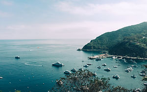 Boats in the Bay