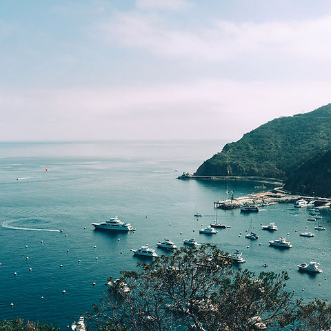 Boats in the Bay