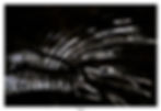 Onde noire