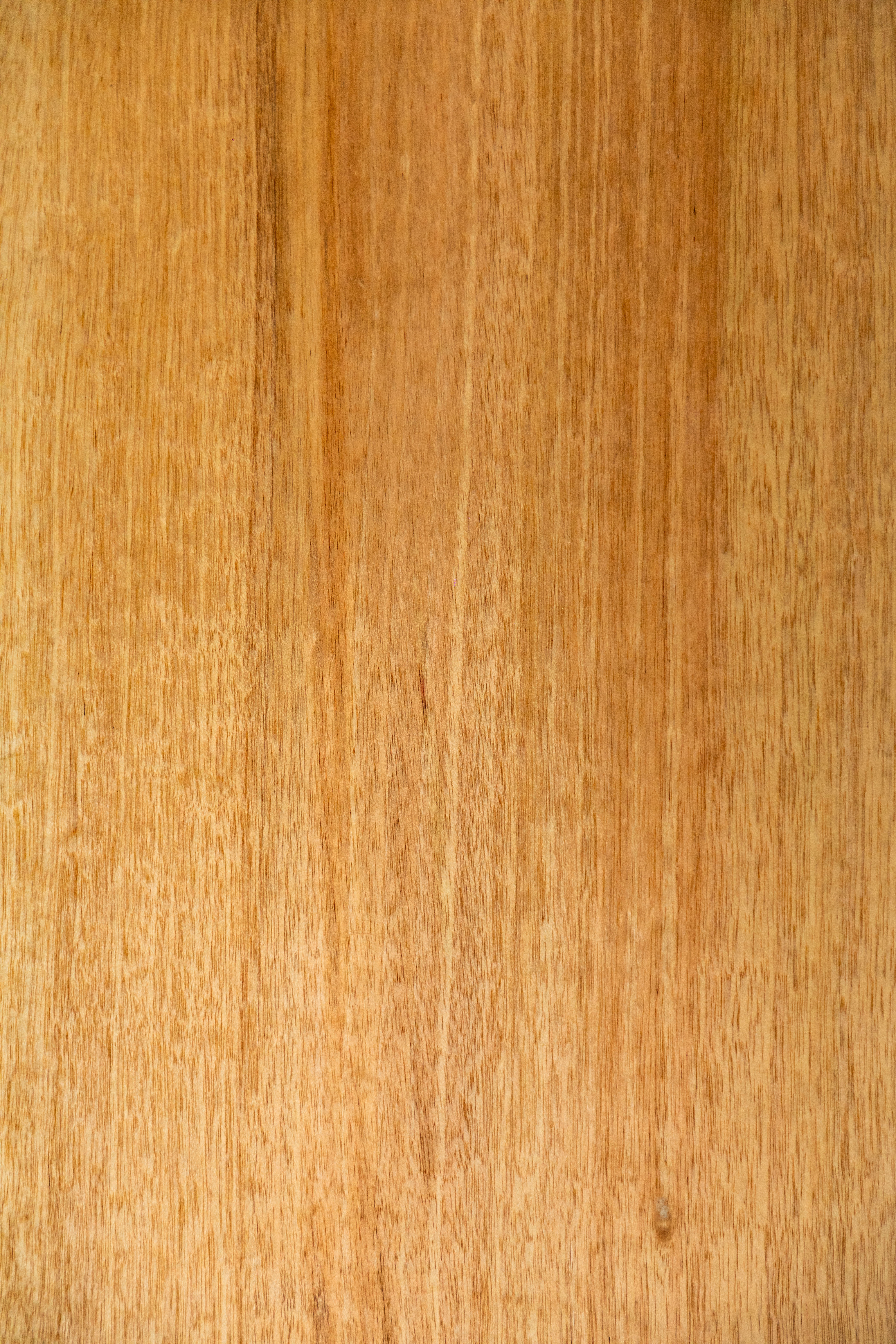 Caoba