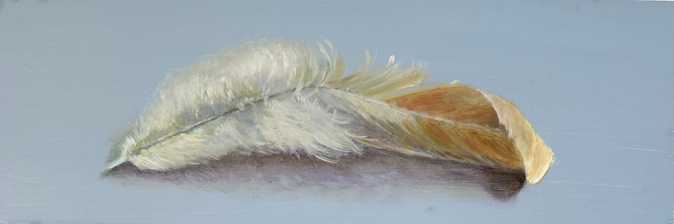 hen feather