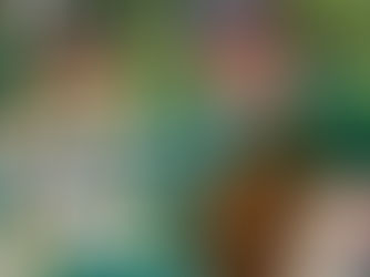 Perinteisen pitkähuilun rakennuspaja: SIpoon äänet