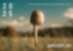 Thumbnail: The Pierce Perspective 2025 Charity Calendar A3