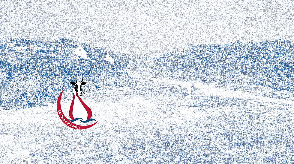 Brigneau accueil MONO Bleu+LOGO-min_edit