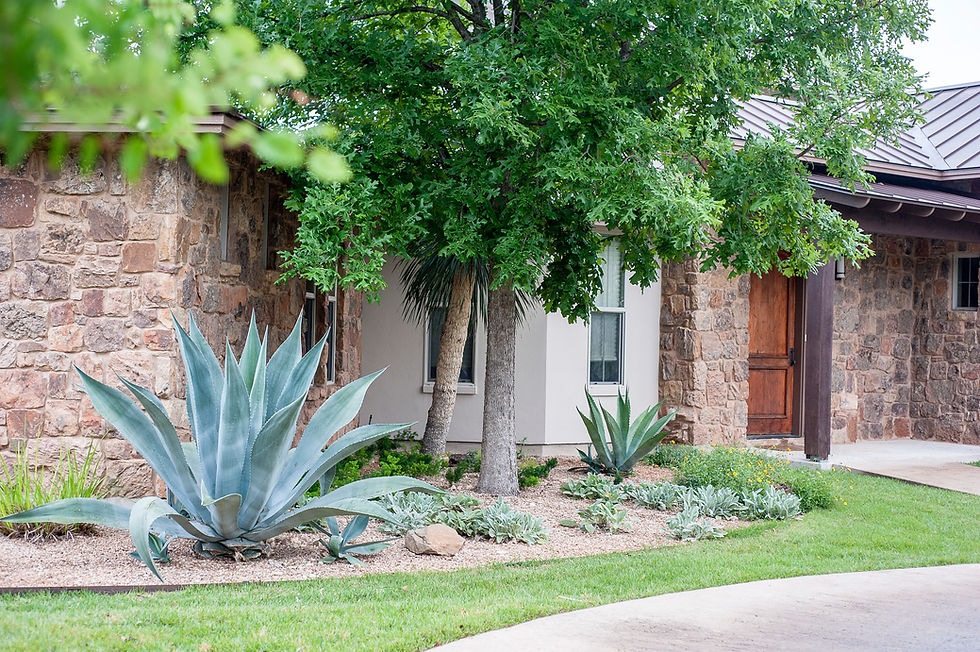 Stone house exterior with agave plants and desert landscaping