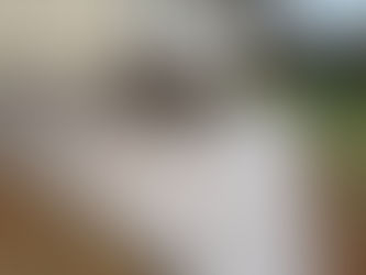 Building a Backyard Stamped Patio Space You’ll Enjoy for Years to Come