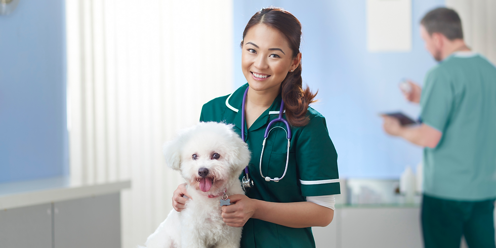 animal hospital.png