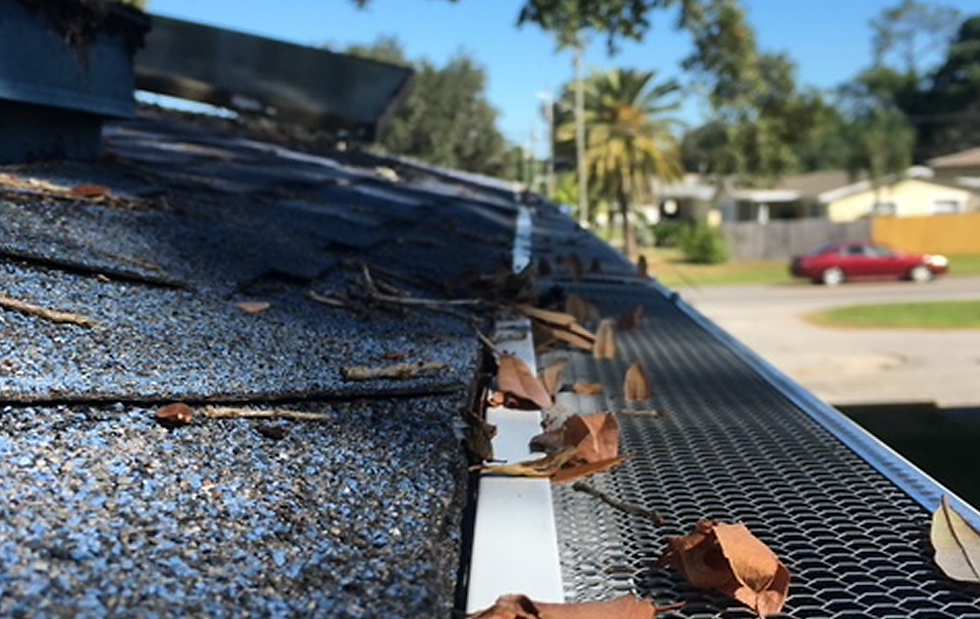 Gutter Cleaning