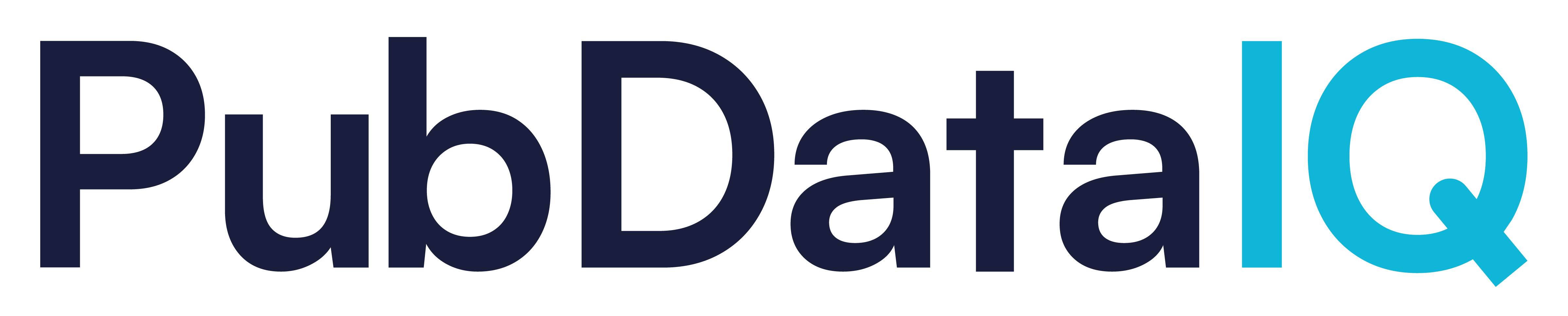PubdataIQ logo with margin