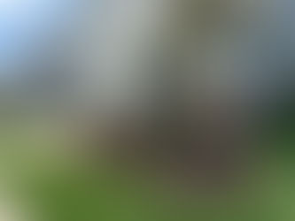 Creating Custom Landscape Designs That Bring Your Home to Life