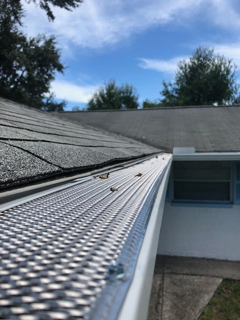 Gutter Protection
