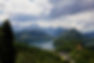 hohenschwangau-532864.jpg