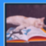 The Case of the Missing Cat