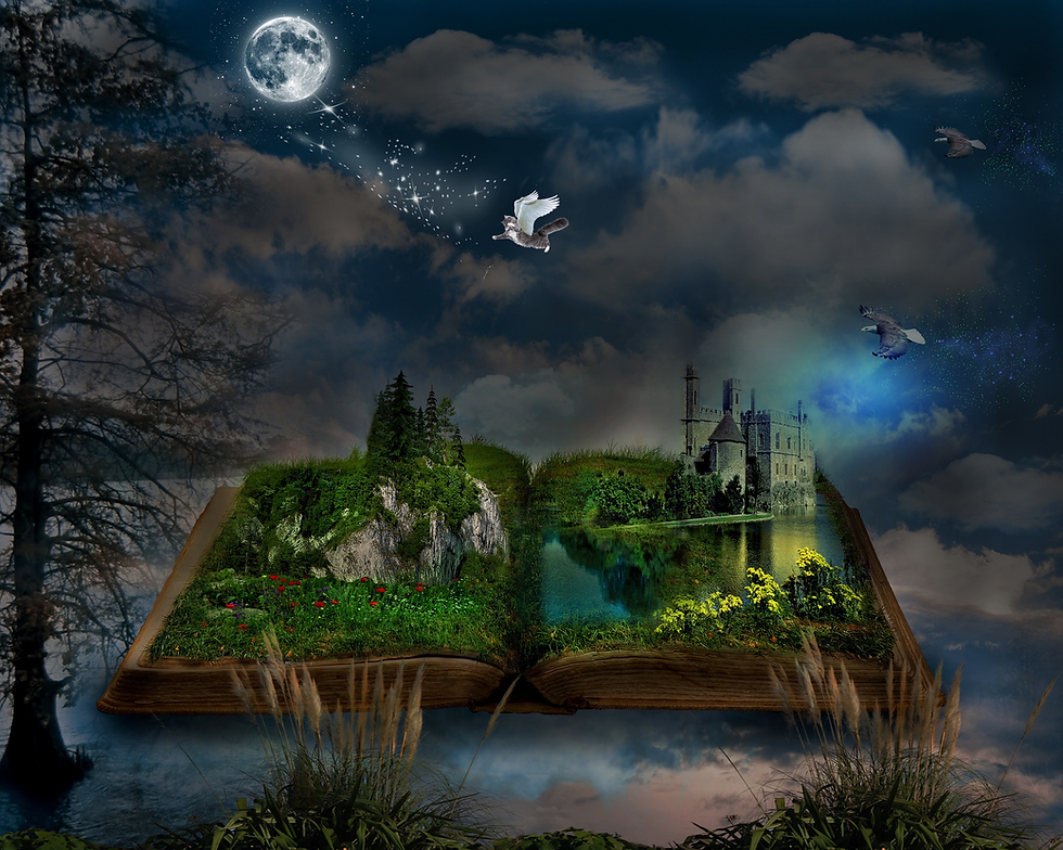 open book with fantasy scene growing out of it and a cat flying towards the moon.