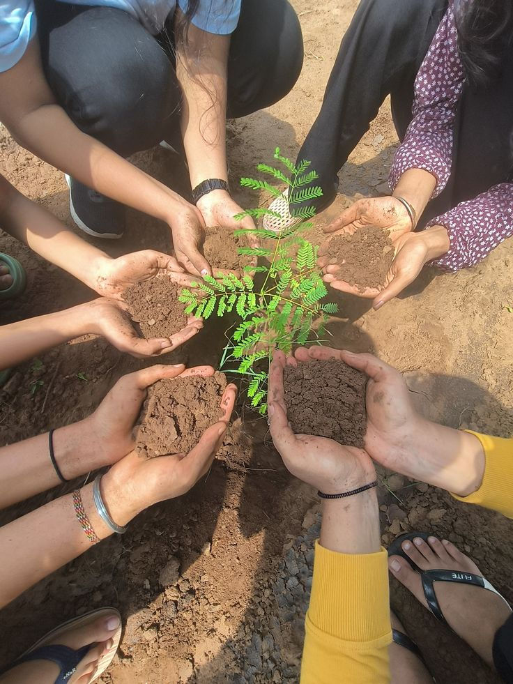 Planting a New Seed