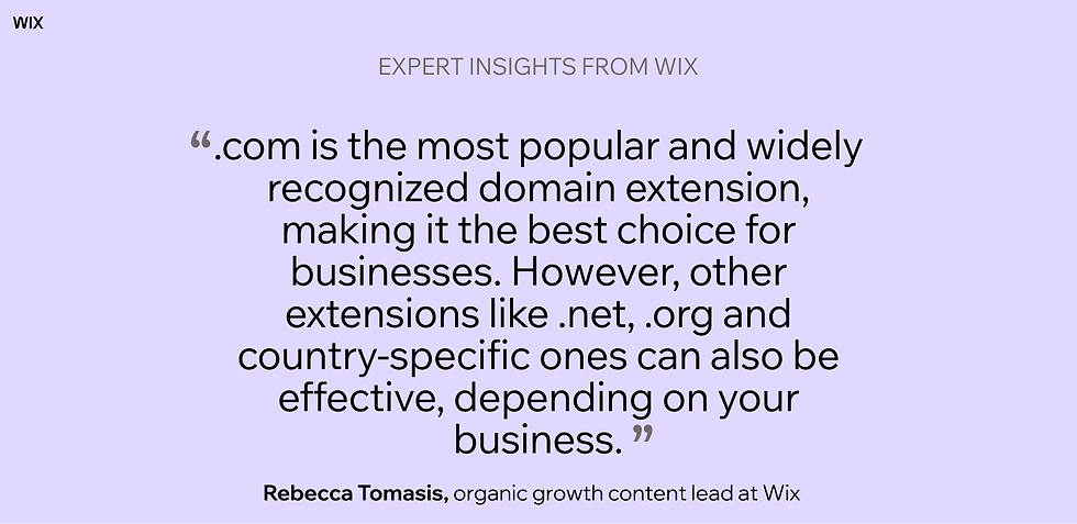 Is Wix good for domain registration? expert quote