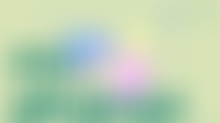 How to make an illustration portfolio