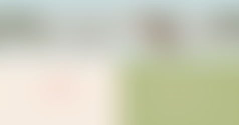 experience page for student portfolio examples