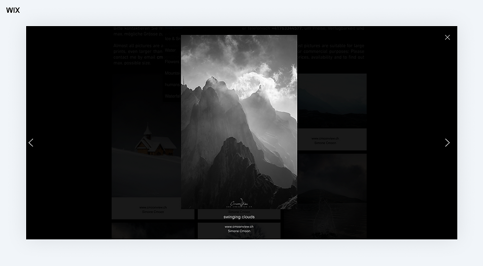 Simone Cmoon photography wix website