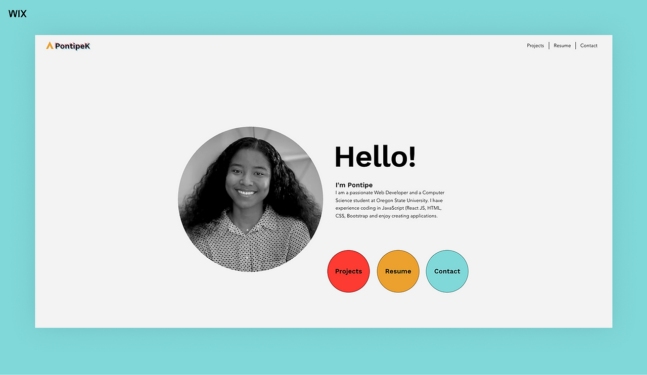 web developer portfolio example 6