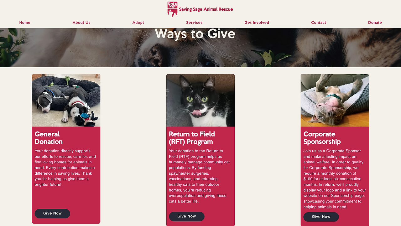 donate money booking website on wix for animals