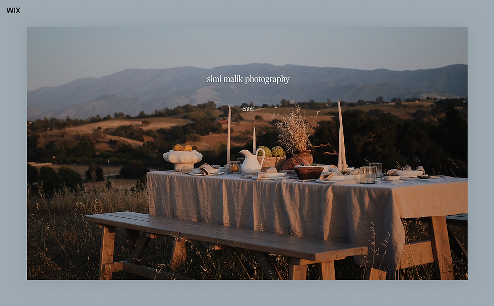 portfolio built with wix ai website builder