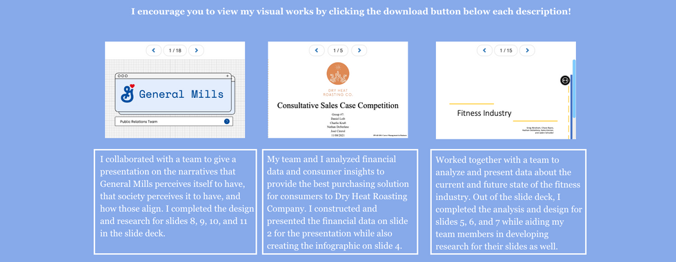 visual works for student portfolio examples