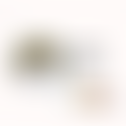best teaching website nessman teaches portfolio 