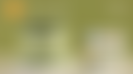 How to make a beauty website that turns heads (+ real-life examples) 