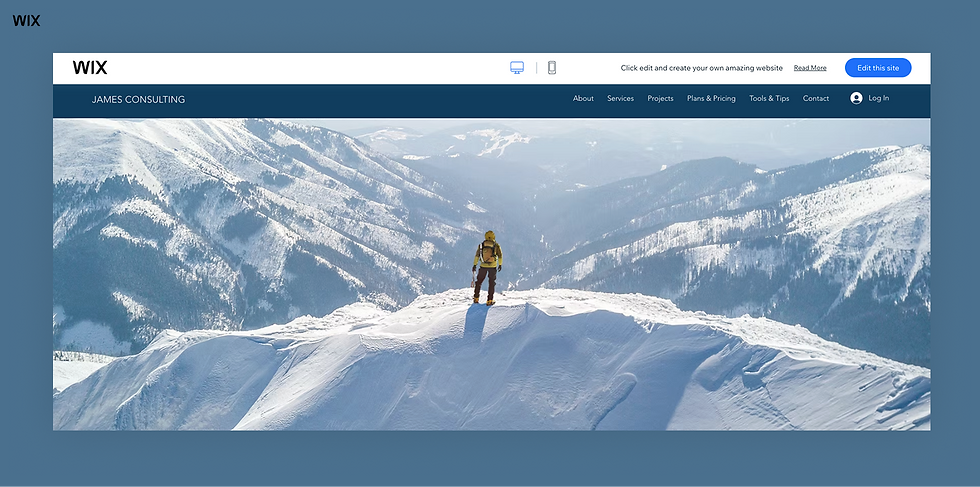 consulting website template free