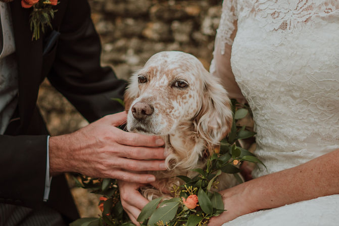 documentary photography couple holding spaniel dog with floral collar on wedding day