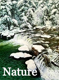 Winter Stream_edited_edited.jpg