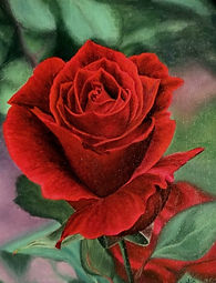Love_edited.jpg