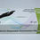Thumbnail: 9 inch 3.5g Disposable Nitrile Gloves, Black, Finger-textured