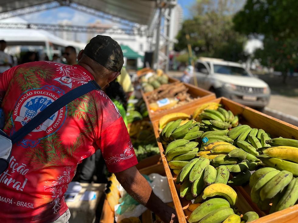 3ª Feira Tucuju da Agricultura Familiar fortalece produção rural e celebra cultura amapaense