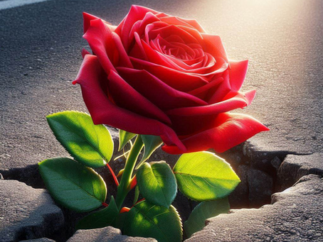 O poder da palavra em nós | por Airton Souza