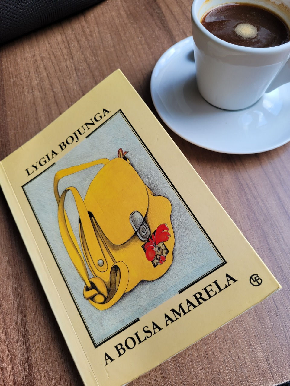 A Bolsa Amarela: Desejos, identidade e resistência no universo infanto-juvenil | J. Machado