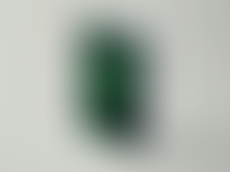 Celebração Literária Honra o Legado de Fernando Canto